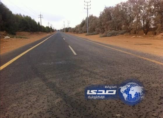  هطول أمطار على منطقة تبوك