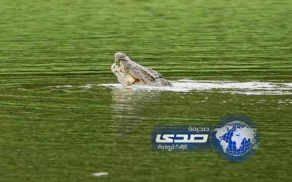 مواطن زمبابوى يقاتل تمساحاً بيديه العاريتين لينقذ ابنه من فكيه