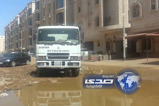 أمانة جدة تحصر 4800 حقل للبعوض