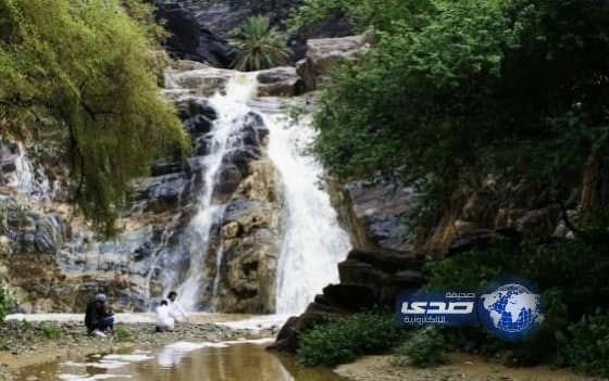 الربيع الدافئ يجذب زوارمحافظة أضم 