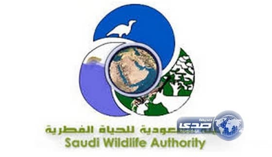 وظائف شاغرة بالهيئة السعودية للحياة الفطرية