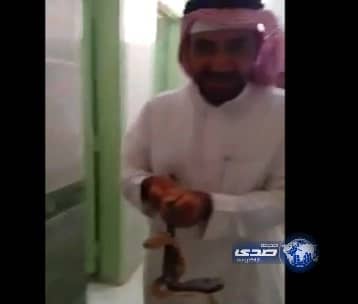 بالفيديو : إخراج أفعى من دورات مياه مدرسة بجازان