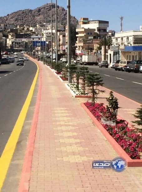 بلدية بلجرشي تنشئ شبكة ري وتعيد تأهيل وزراعة الجزر الوسطيه .. صور‎