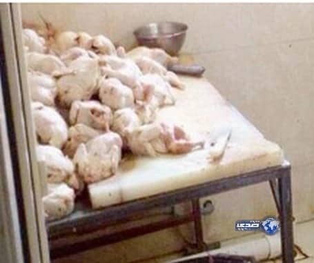 القبض على عمالة تجهز الوجبات في دورات المياه