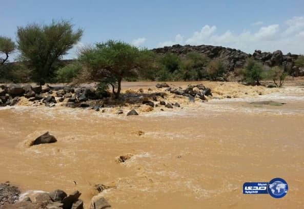 بالصور: محافظة الحائط تشهد هطول أمطار غزيرة