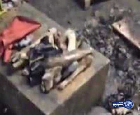 بالفيديو.. ضبط عمالة وافدة تبيع كوارع "الكلاب" بجدة‬