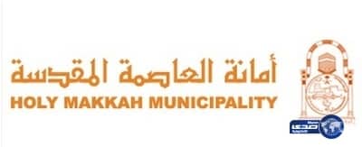 بلدية المسفلة بمكة تصادر أكثر من 3 أطنان من الأسماك الفاسدة 