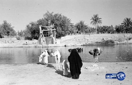 صورة من الأحساء في مايو 1945 م