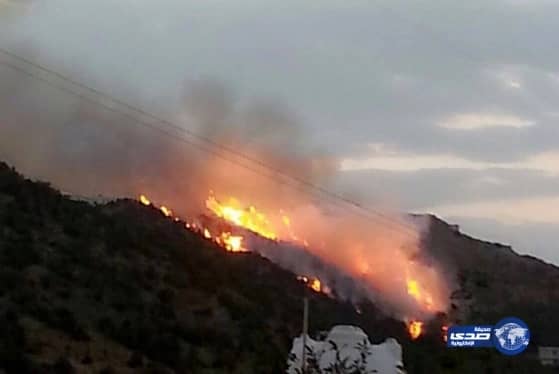 مدني الباحه يسيطرعلى حريق قرية الجوفاء (فيديو)