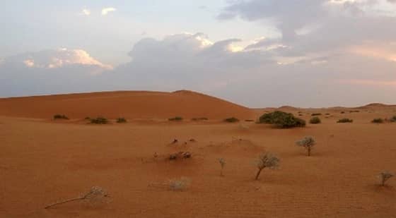 العثور على رجل مسن وزوجته تاها في نفود الجوف