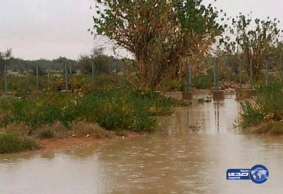 أمطار غزيرة على رماح وخريم "فيديو"