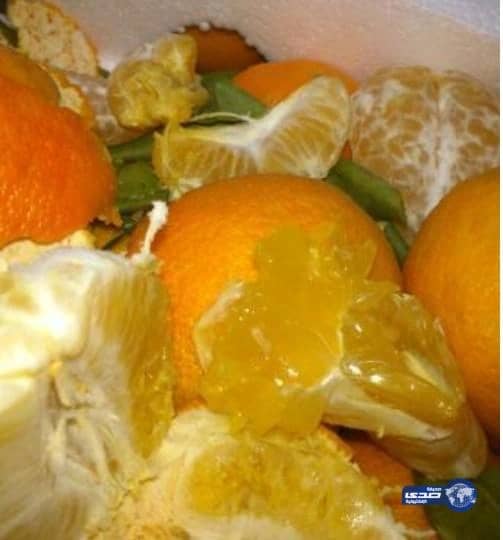 بالفيديو :بلدية القريات تصادر كميات كبيرة من "اليوسفي" لوجود يرقات داخلها‎