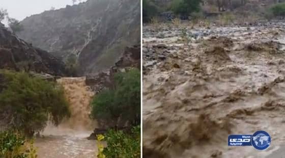 بالفيديو... أمطار وسيول على محافظة أضم‎