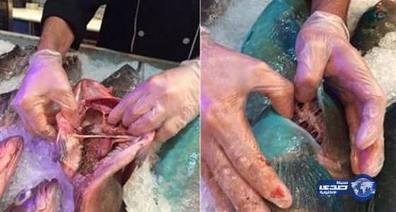 إغلاق  مطعم "كابوريا"واعادة اغلاق مطعم غوديز سيليكشنز بجدة