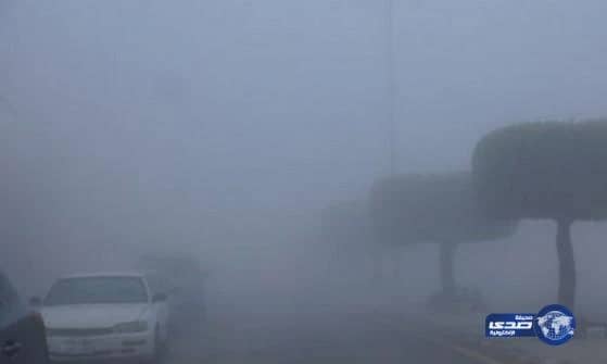  الوايلي يتوقع: درجة الحرارة تصل إلى “صفر” بحفر الباطن