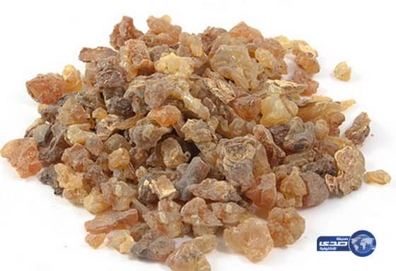 استشاري أسنان يحذر من استخدام نبتة المُر بعد خياطة عمليات الفم