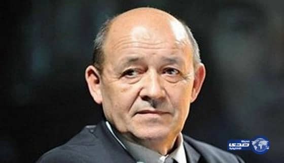 بالفيديو:وزير الدفاع الفرنسي يهتف: "تحيا مصر" 