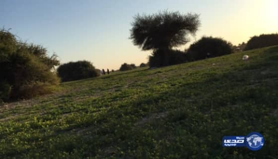 بالصور : روضة خريم تكتسي بالخضرة وتغري المتنزهين‎