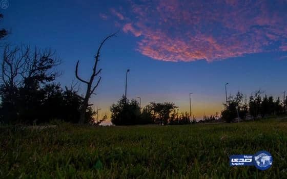  غابة "خيرة" بالباحة ملاذ لمحبي الهدوء والاستمتاع بالطبيعة