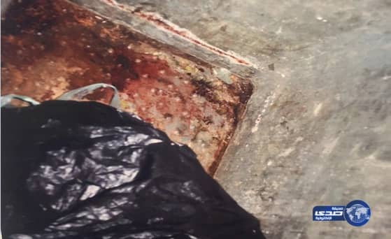 القبض على 9 من مخالفي نظام الإقامه و مصادرة لحوم فاسدة بوادي الفرع