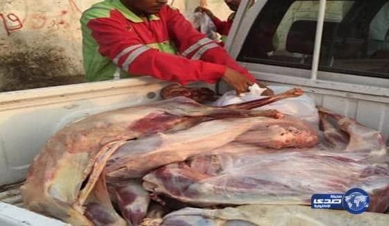  اتلاف ١٣٠ ذبيحة مجهولة المصدر بشوقية مكة