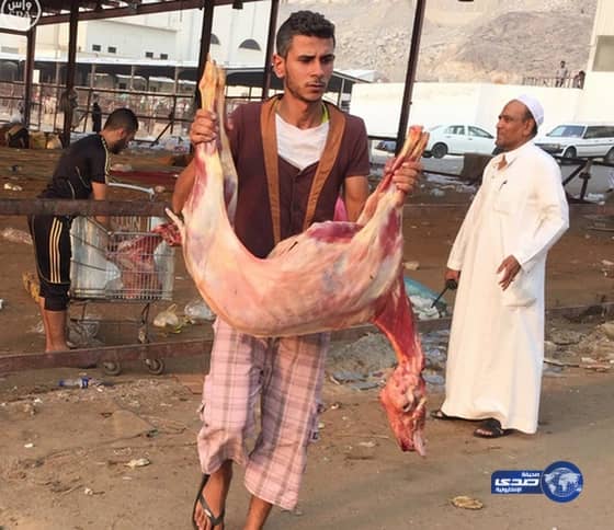  "عمل الشرقية" يُنفذ حملات تفتيشية على المحال التجارية ويضبط 243 مخالفة