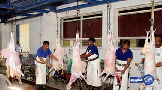 بلدية الخبر تحذر من ذبح الأضاحي في العيد خارج المسالخ 