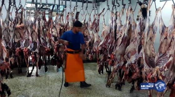 اكثر من 21 الف أضحية تم ذبحها يومي الأول والثاني في المدينة‎