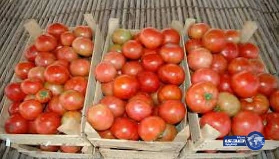 مصادرة 172 عبوة طماطم بوادي الدواسر