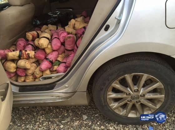 دوريات المجاهدين تضبط 3456 حزمة من "القات"بالدرب (صور)