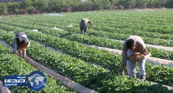 سلسلة مطاعم تتبرع بعشرة ملايين بيزو للمزارعين في إفتتاح متجرها الألف بالفلبين