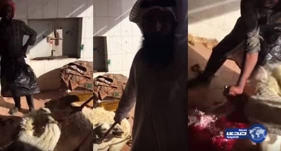 بالفيديو.."سعودى" يذبح جملا احتفالا بفشل الإنقلاب بتركيا