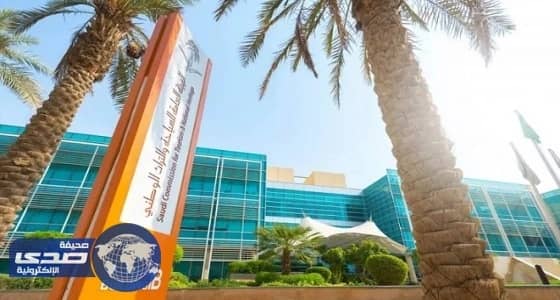 العامة للسياحة تكرم 140 مواطنا أعادوا قطعا أثرية