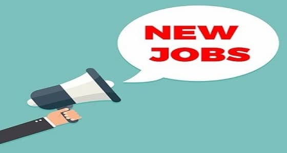 الأمومة والطفولة النسائية تعلن عن وظيفة " مديرة تنفيذية "