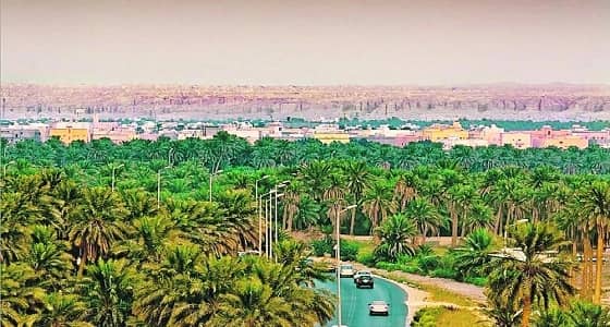 القيصومة تسجل أعلى درجة حرارة اليوم