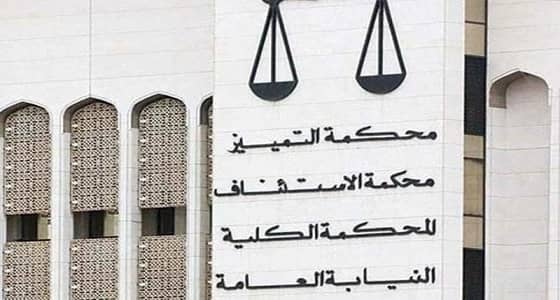 حبس " مواطن " 7 سنوات بتهمة خطف أطفاله