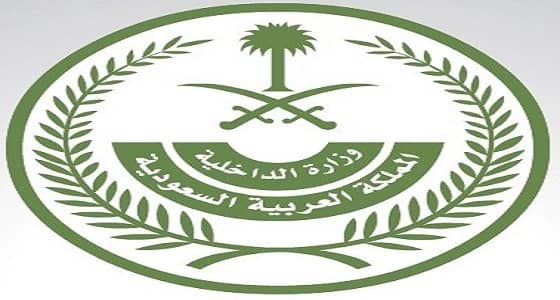 " الداخلية " تكشف آخر مستجدات حملات ضبط مخالفي أنظمة الإقامة والعمل