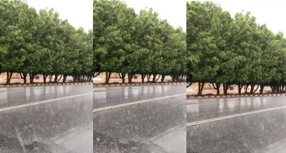 بالفيديو.. استمرار تساقط الأمطار وحبات البرد على الطائف