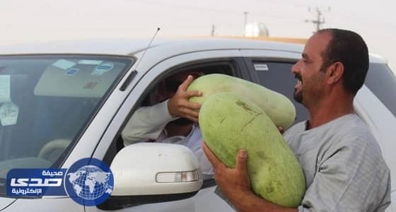 بالصور.. توزيع 3 آلاف بطيخة على المسافرين بوادي الدواسر