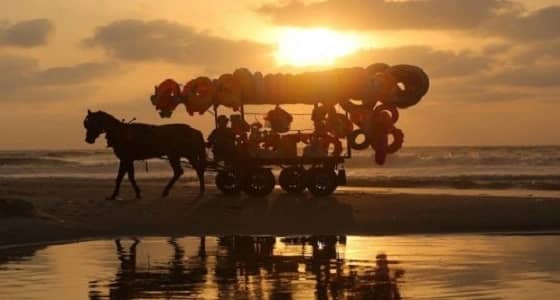 كوريا الشمالية تحصد نتاج تهديدها للطبيعة وتشن حربا ضد ارتفاع الحرارة