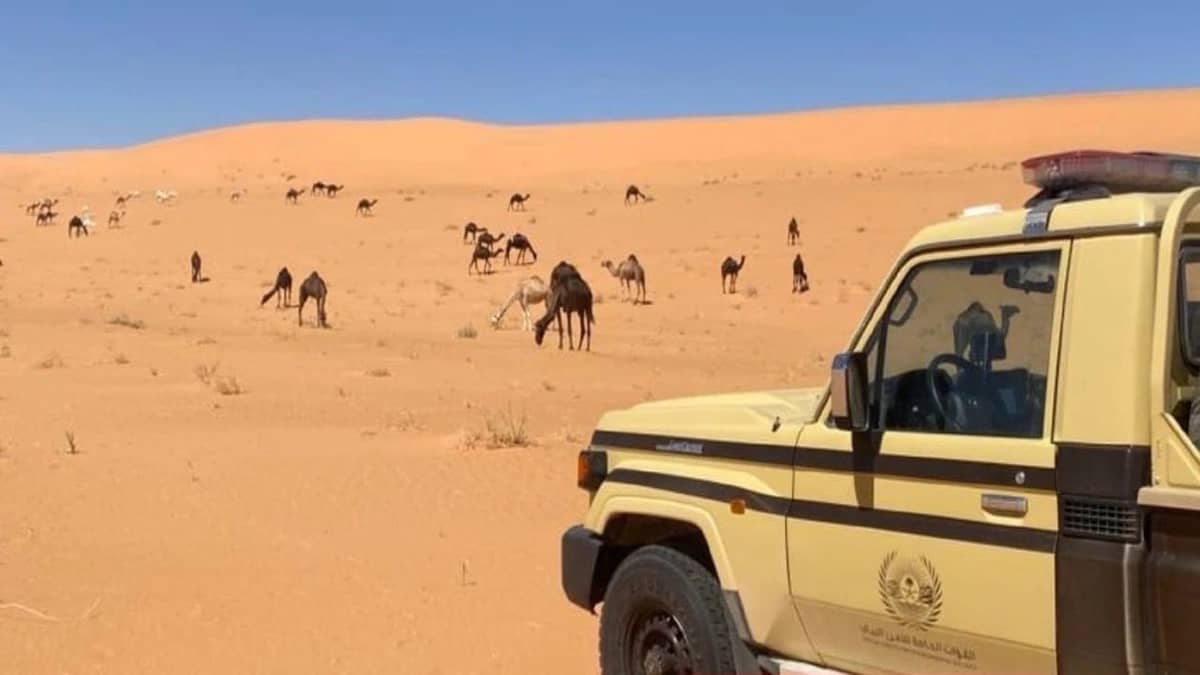 ضبط مخالفين لنظام البيئة