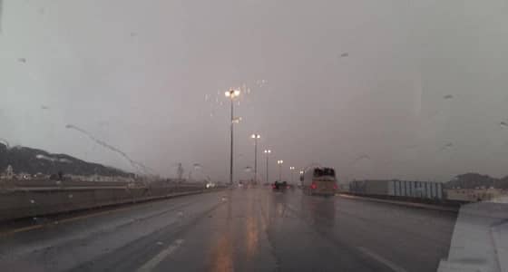 الأرصاد تحذر من سحب رعدية ممطرة في المدينة المنورة