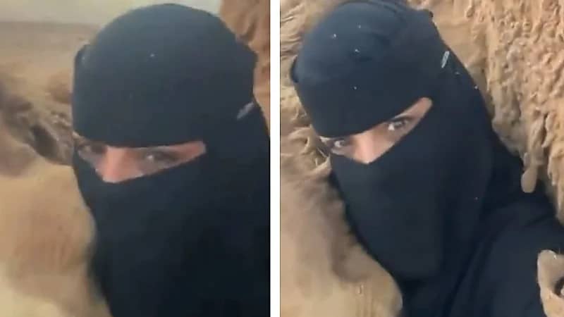 فتاة تشعل مواقع التواصل بعلاقتها بالإبل.. فيديو