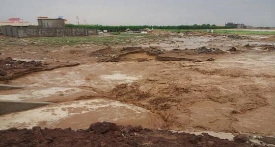 بالفيديو..رجل أمن يغامر بحياته لإنقاذ أشخاص حاصرتهم سيول أبو عريش الجارفة