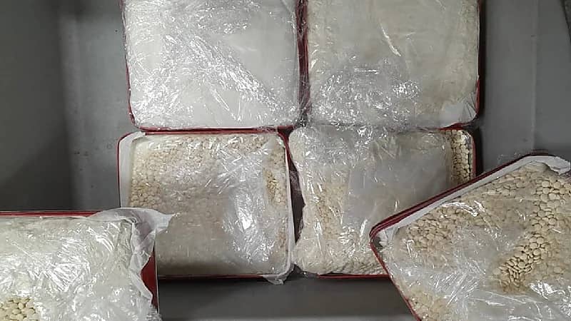 القبض على امرأة تقود شبكة لتهريب المخدرات في لبنان