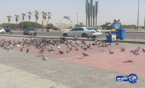  رئيس جامعة الباحة يكشف عن الهدف من المكاتب الاستراتيجية "فيديو"