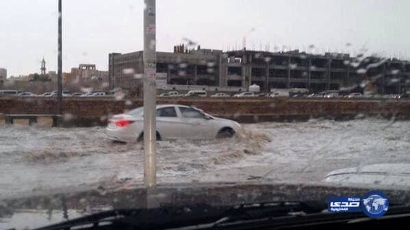 شاهد.. ضبط مقيم بتهمة زراعة مواد مخدرة 