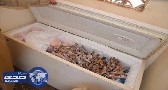 ضبط قائد شاحنة بحالة غير طبيعية في ينبع 