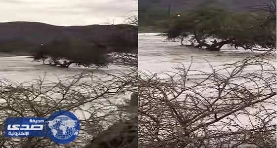 بالفيديو.. مواطنان ينقذان وافد احتجزته السيول بوادي حوران