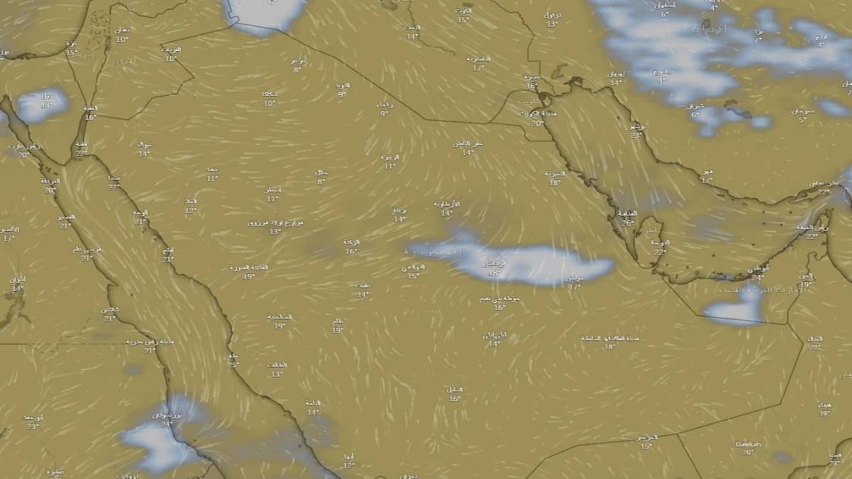 «الحصيني»: انتشار سحب «النفيض» البيضاء على الرياض (صور)